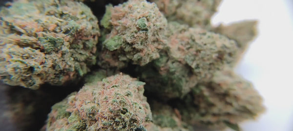 Popcorn - Skywalker OG