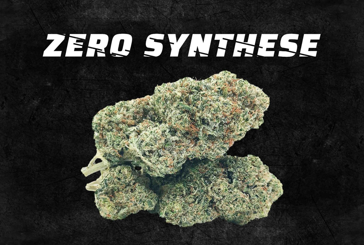 Fleur de CBD naturelle, zéro cannabinoïde de synthèse
