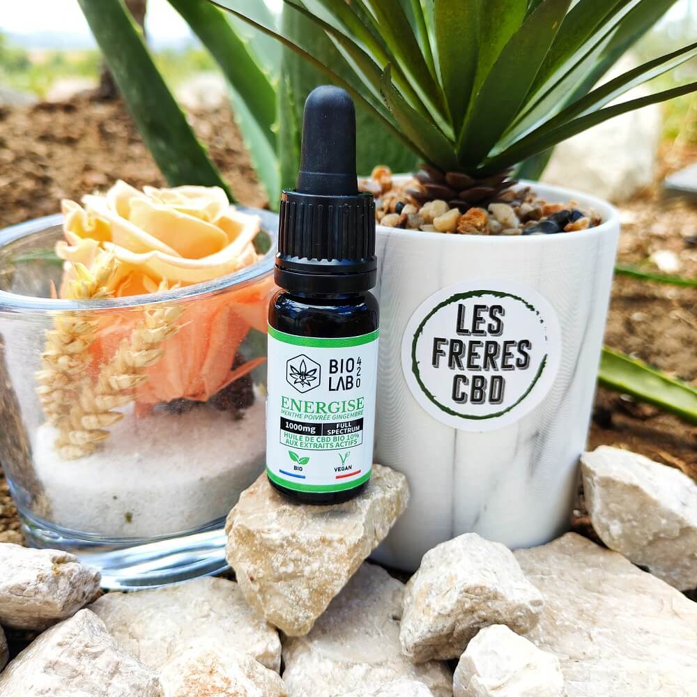 Huile CBD 10% Bio Energise Menthe