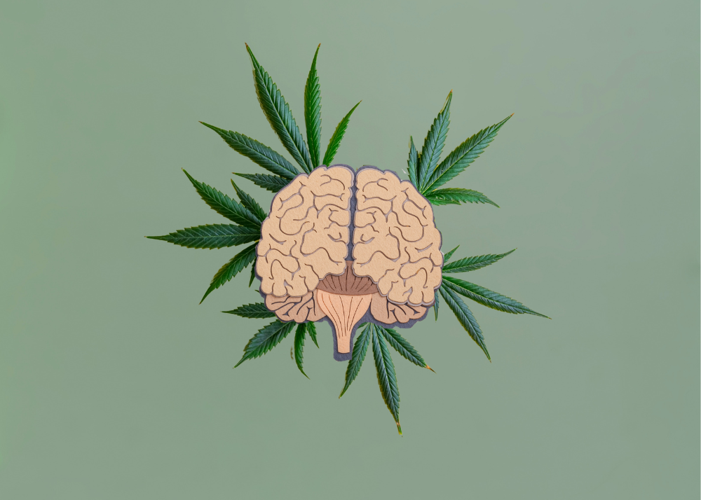 CBD : L'allié du bien-être mental