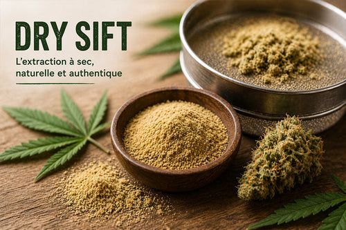 Le dry sift, l'art de l’extraction à sec : tout savoir sur cette technique emblématique