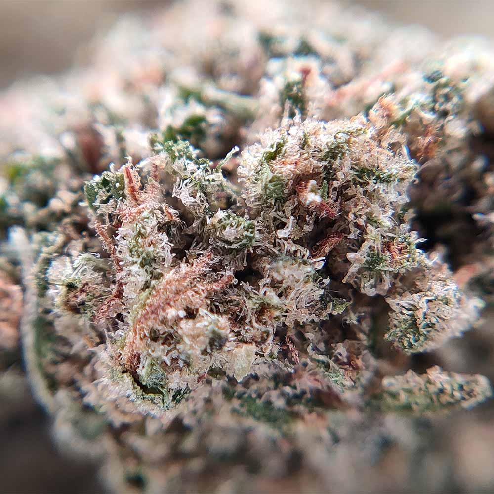 Comment calculer votre dosage de CBD en toute simplicité