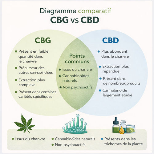 CBG vs CBD : comprendre les différences pour choisir en confiance