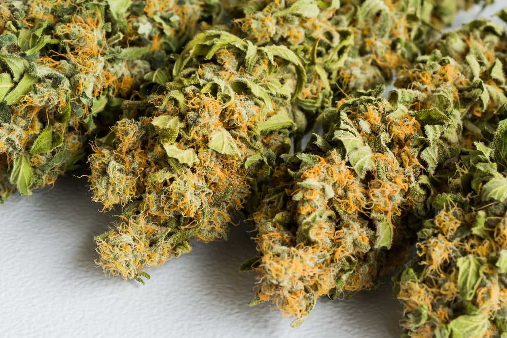 Les dangers potentiels du CBD : Effets secondaires et contre-indications à connaître