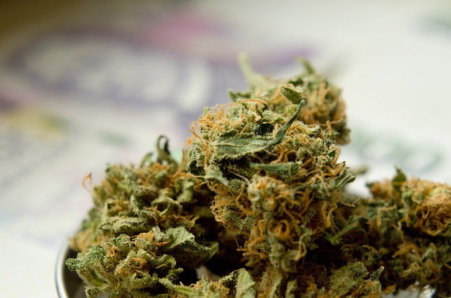 Quel CBD a le plus de THC ?