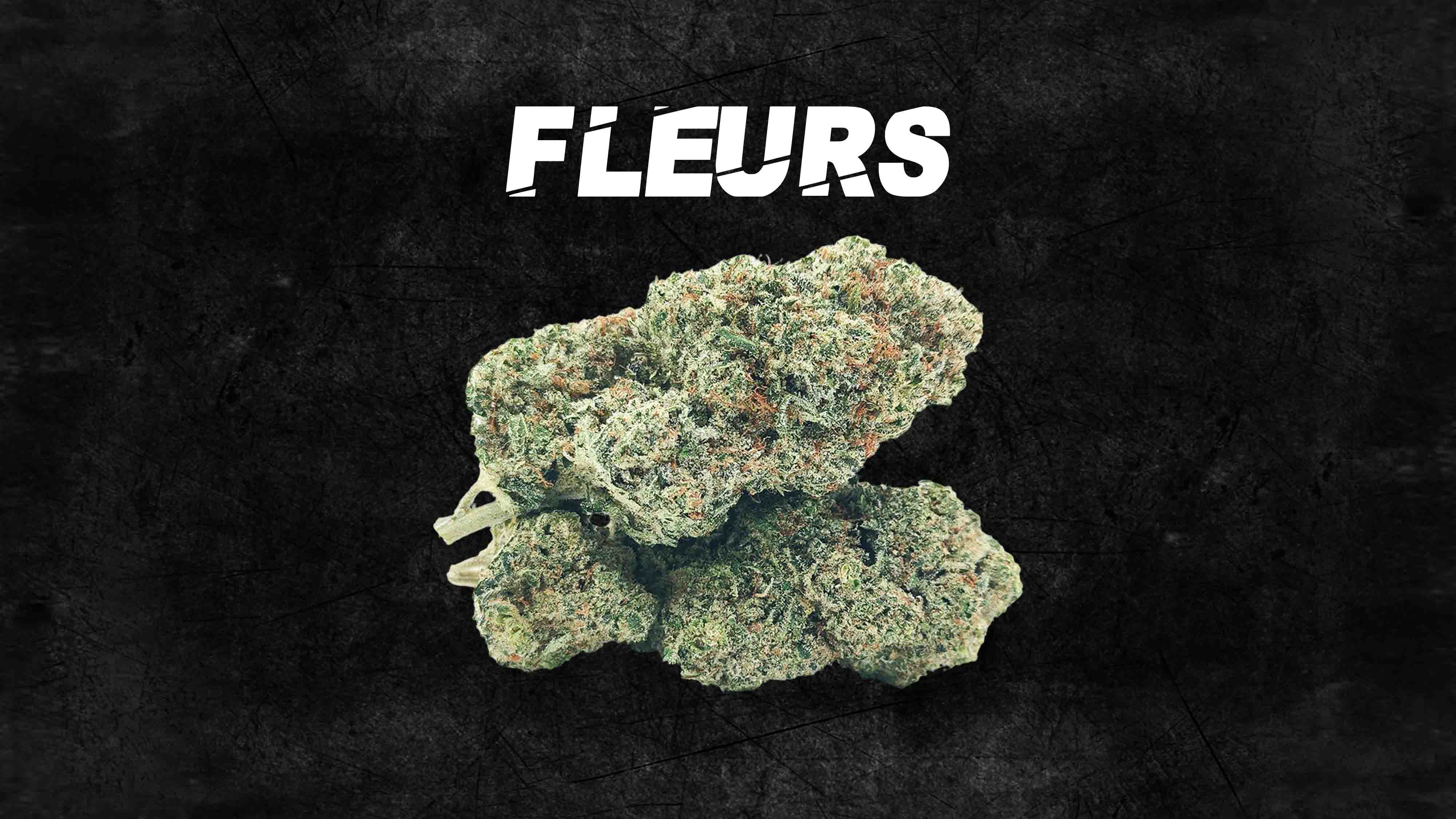 Fleurs de CBD premium - Les Frères CBD