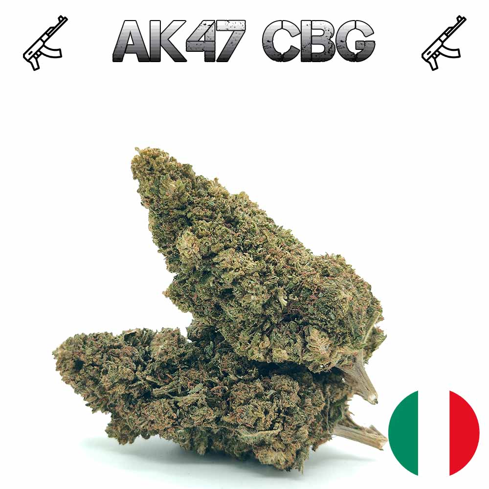🎁 AK47 CBG (OFFERT)