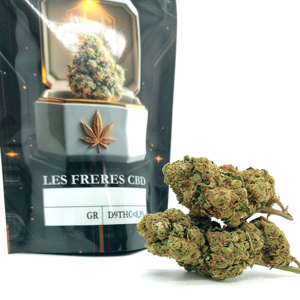 Amnesia Diesel - Luxury Edition