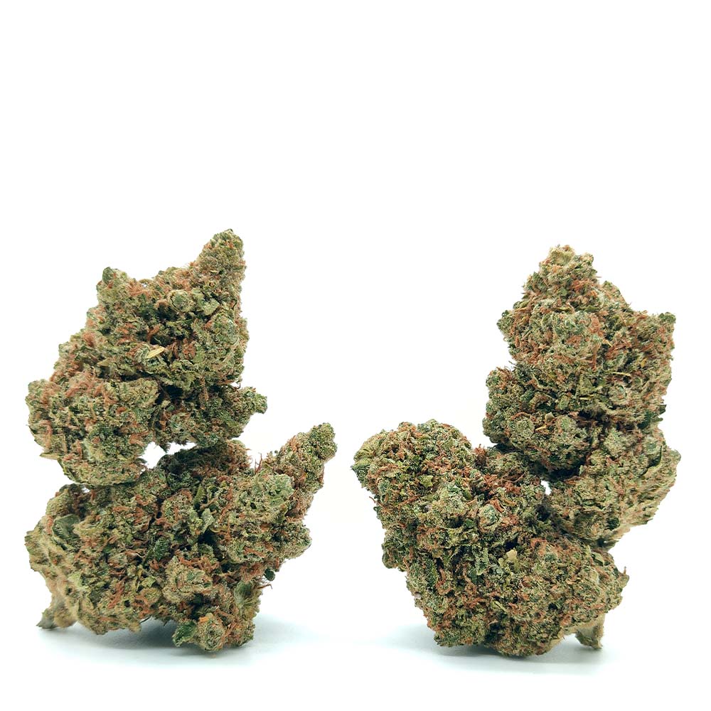 Amnesia Haze - Luxury Edition