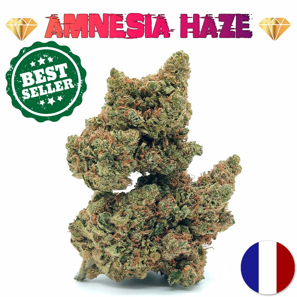 🎁 Amnesia Haze - Luxury Edition (OFFERT)