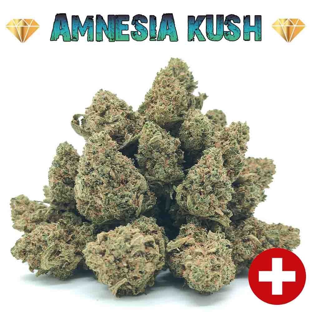 Amnesia Kush - Popcorn Luxury Edition