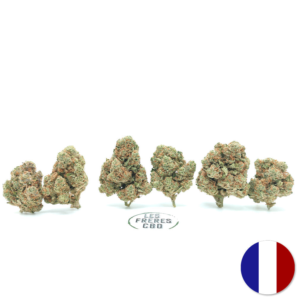 🌟 Vente Privée🌟 Amnesia Haze - Popcorn Luxury Edition