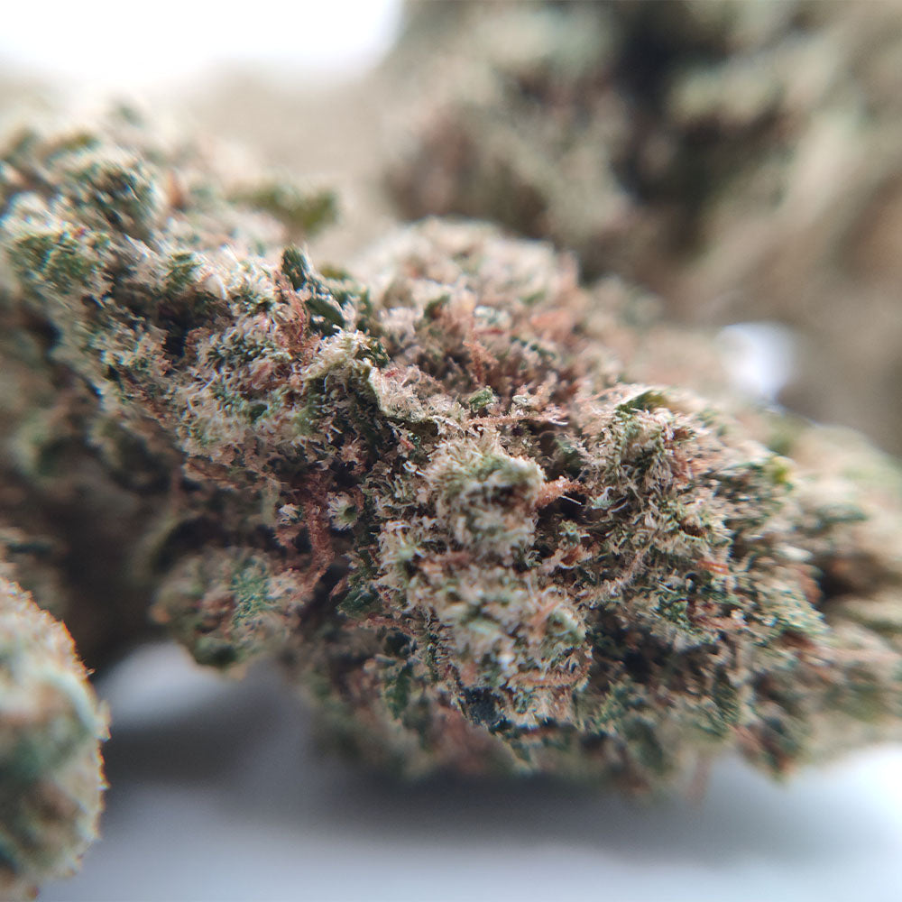 Vente Privée🌟 Amnesia Haze - Popcorn Luxury Edition