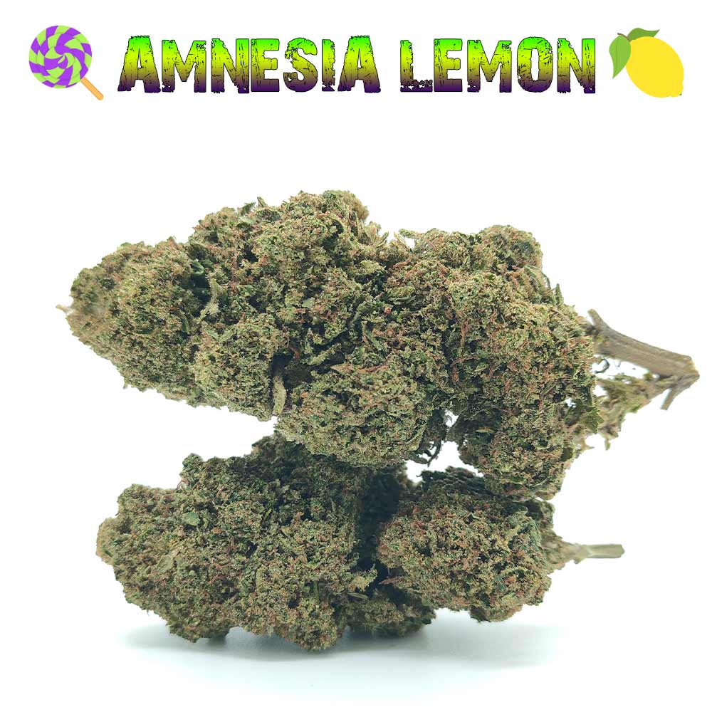 Amnesia Lemon