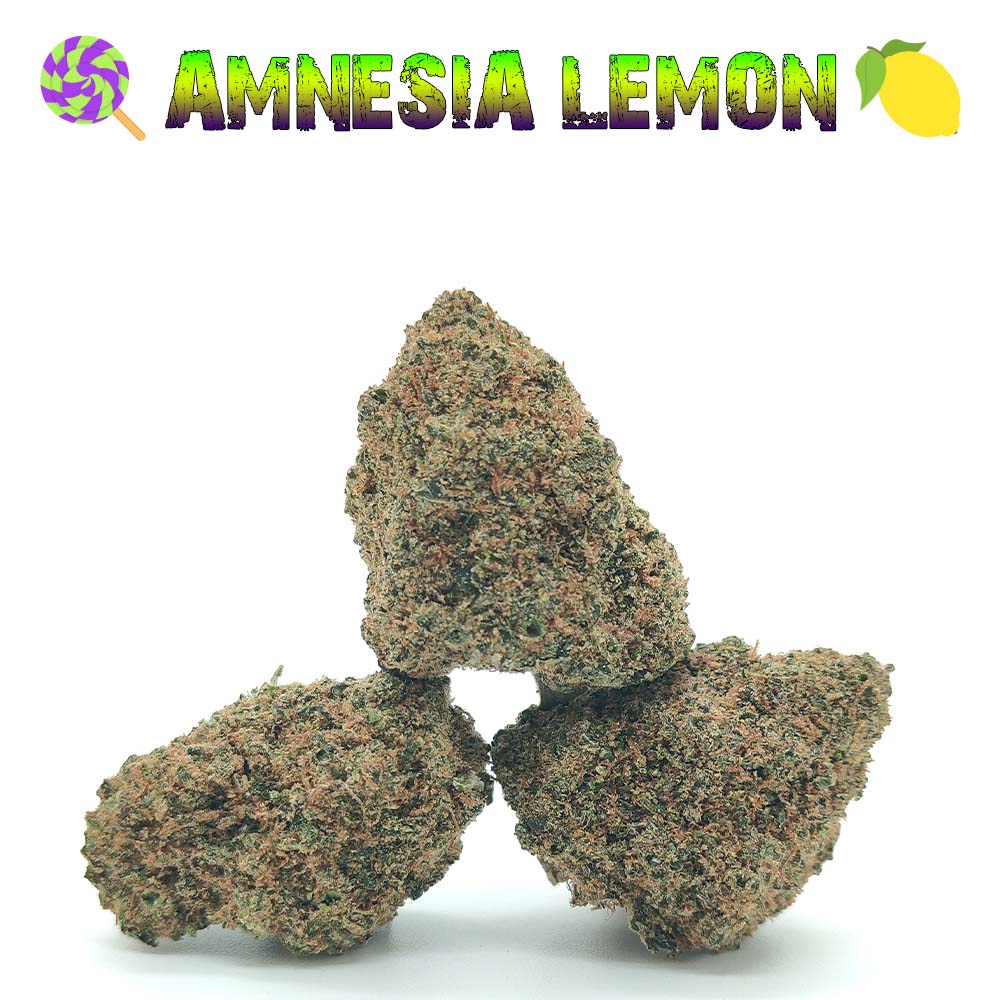 Amnesia Lemon Cali - Luxury Edition