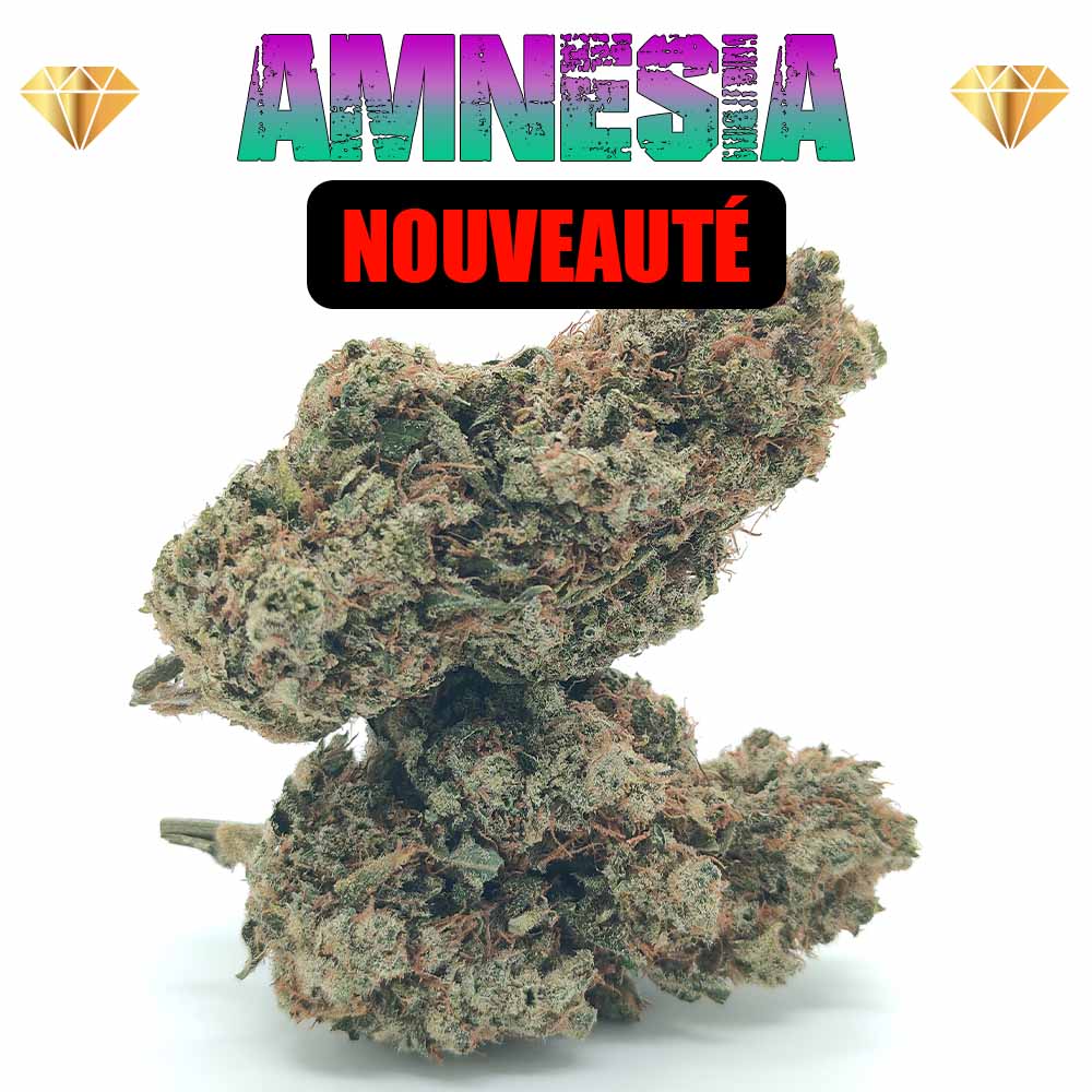 Amnesia CBD - Luxury Edition