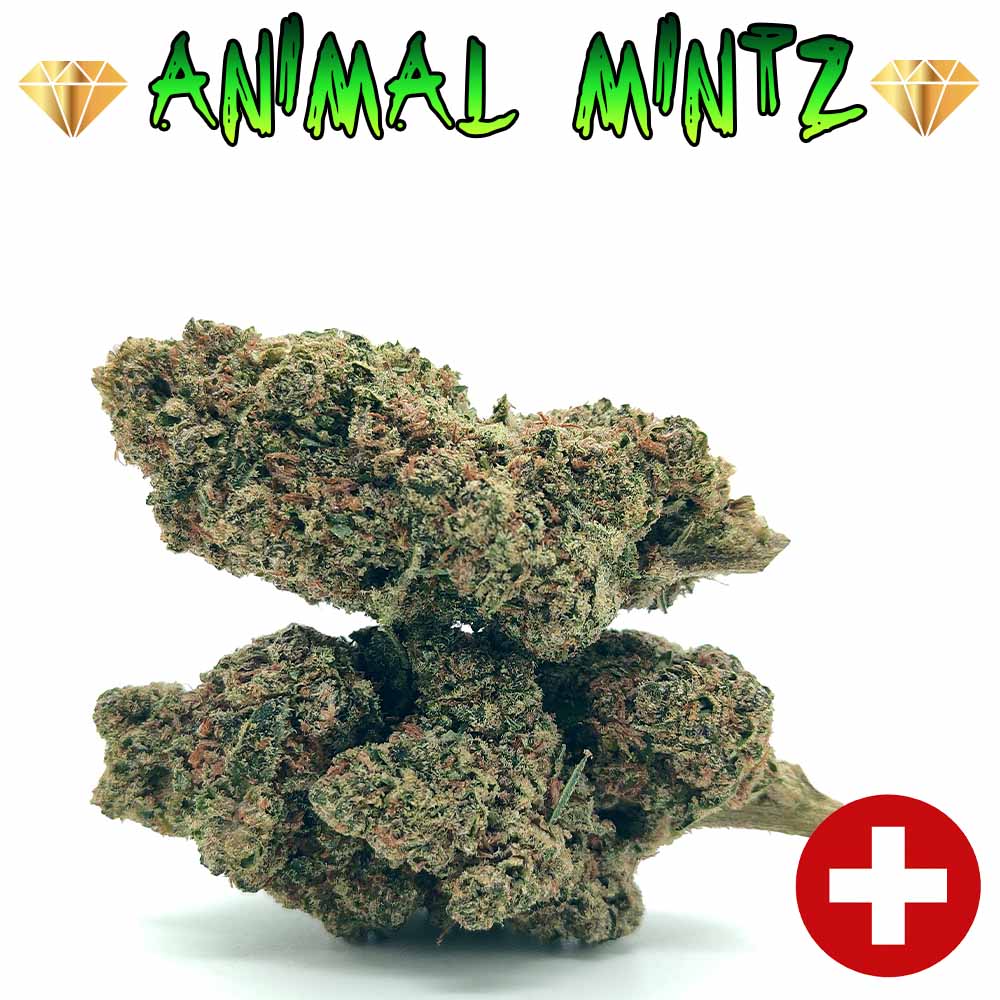 Animal Mintz CBD - Luxury Edition