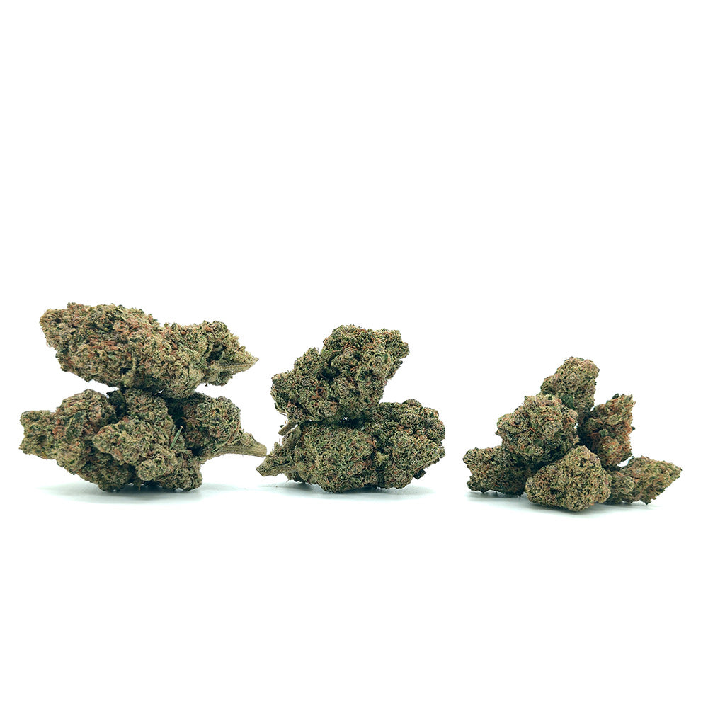 Animal Mintz CBD - Luxury Edition