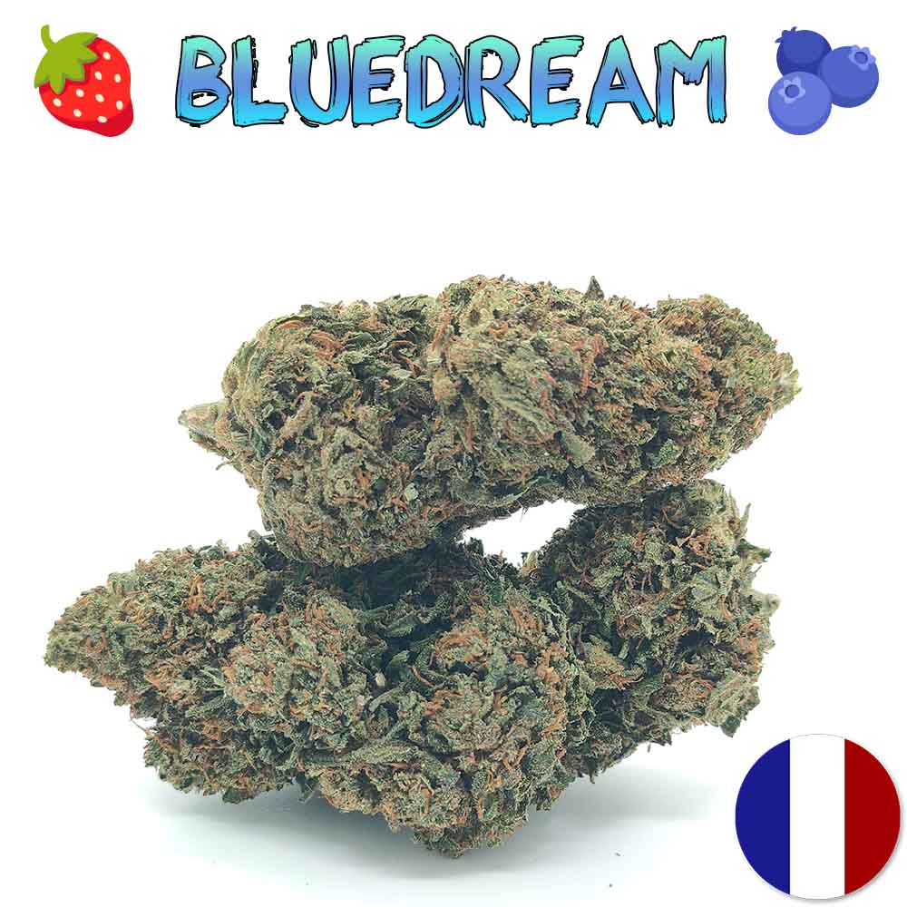 Blue Dream