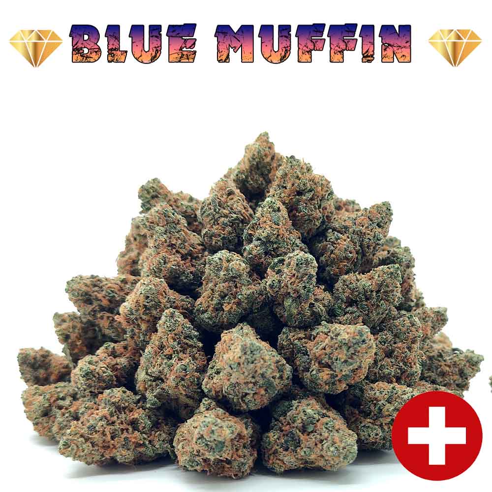 Blueberry Muffin CBD - Popcorn Luxury Edition