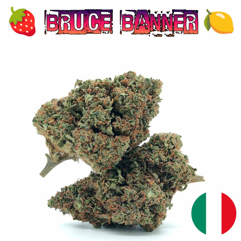 Bruce Banner CBD