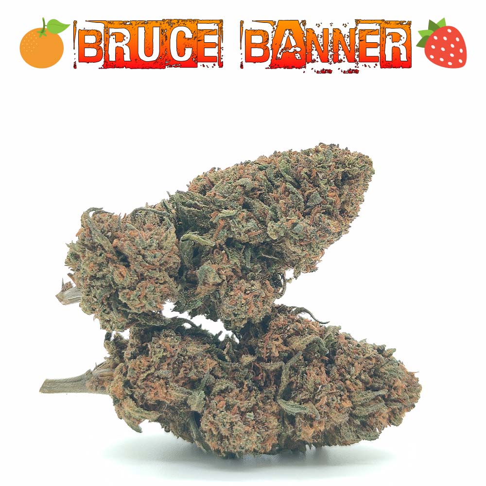 Bruce Banner CBD