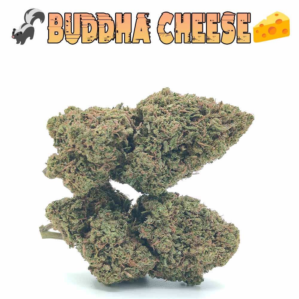 Buddha Cheese