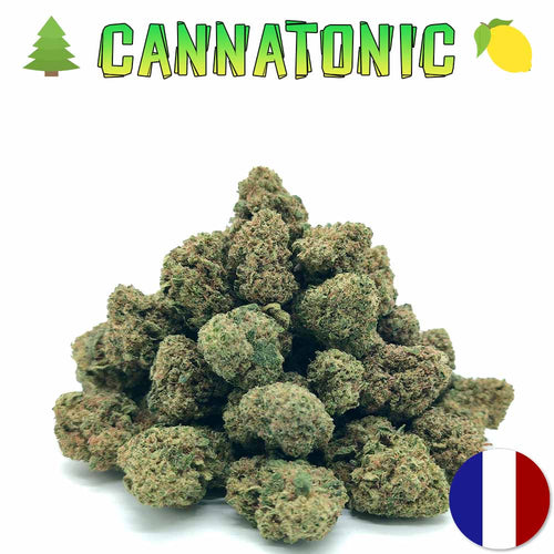 Popcorn CBD Cannatonic glasshouse France Les Frères CBD