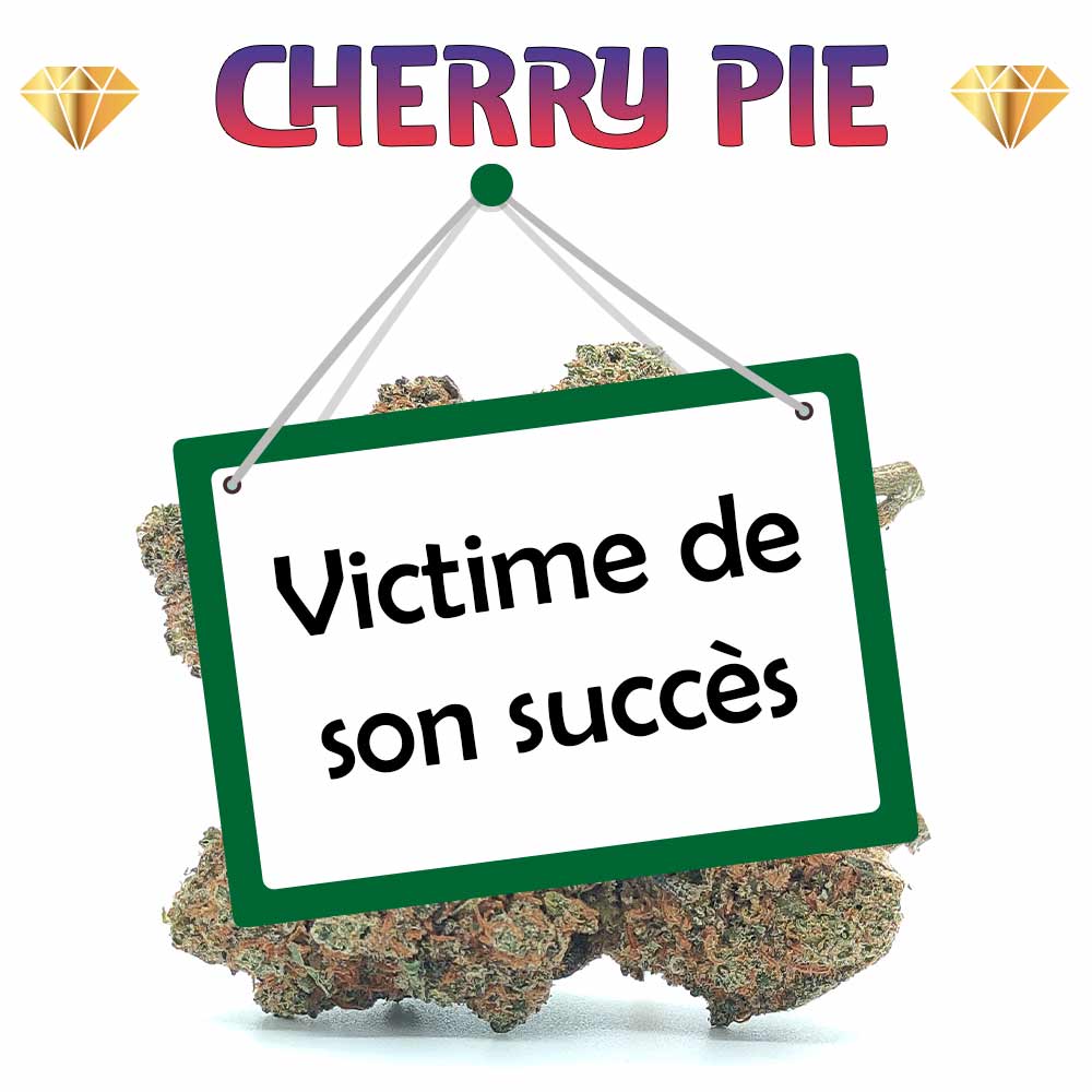 Cherry Pie CBD - Luxury Edition