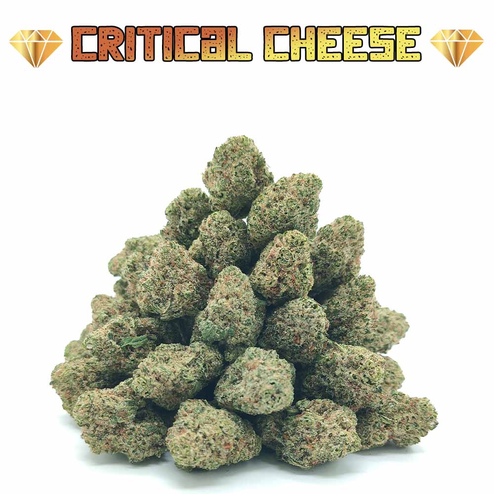 Critical Cheese - Popcorn Luxury Edition