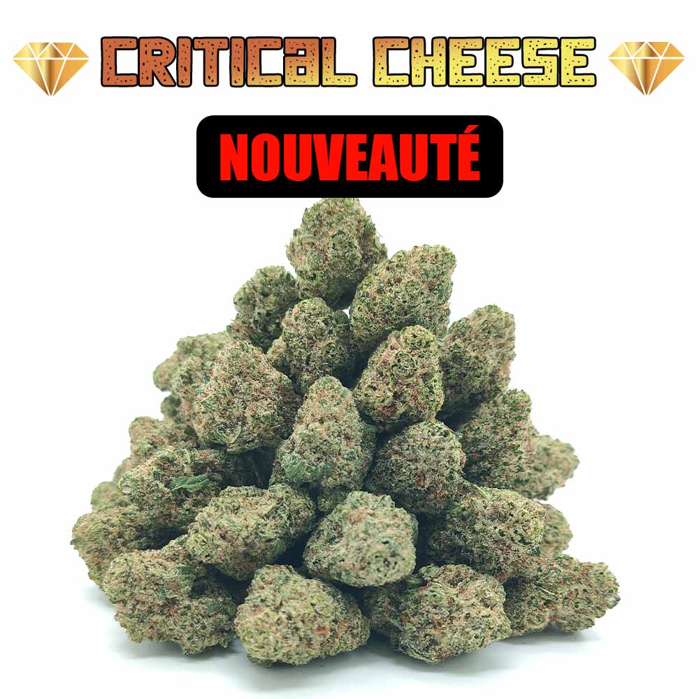 Critical Cheese - Popcorn Luxury Edition