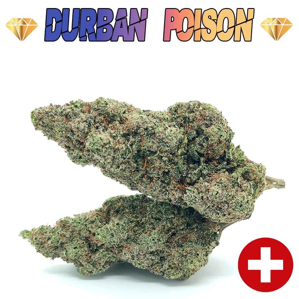 Vente Privée Durban Poison - Luxury Edition