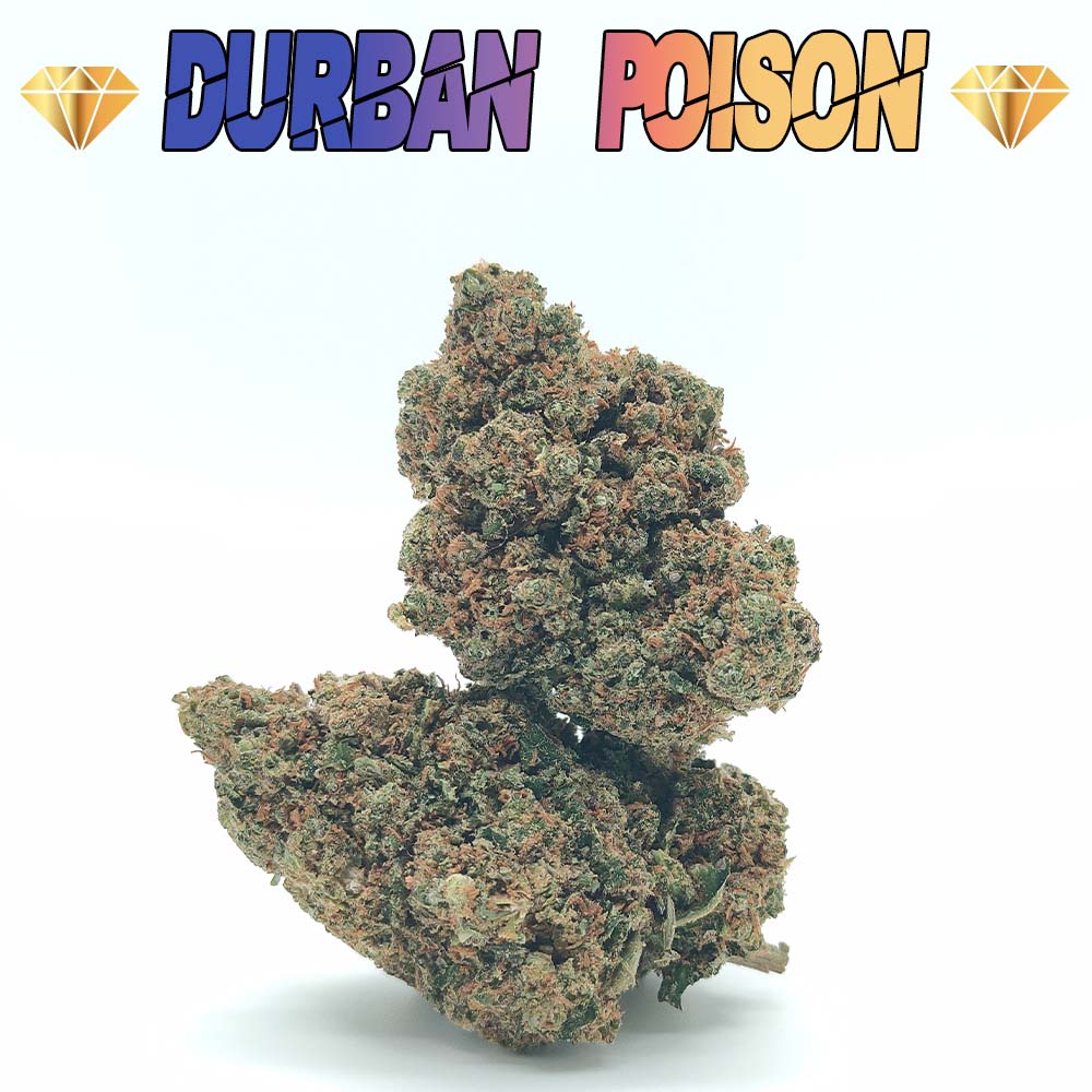 Durban Poison - Luxury Edition