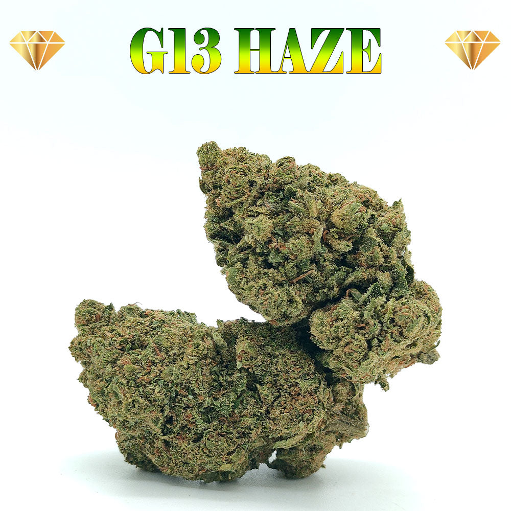 G13 Haze - Luxury Edition