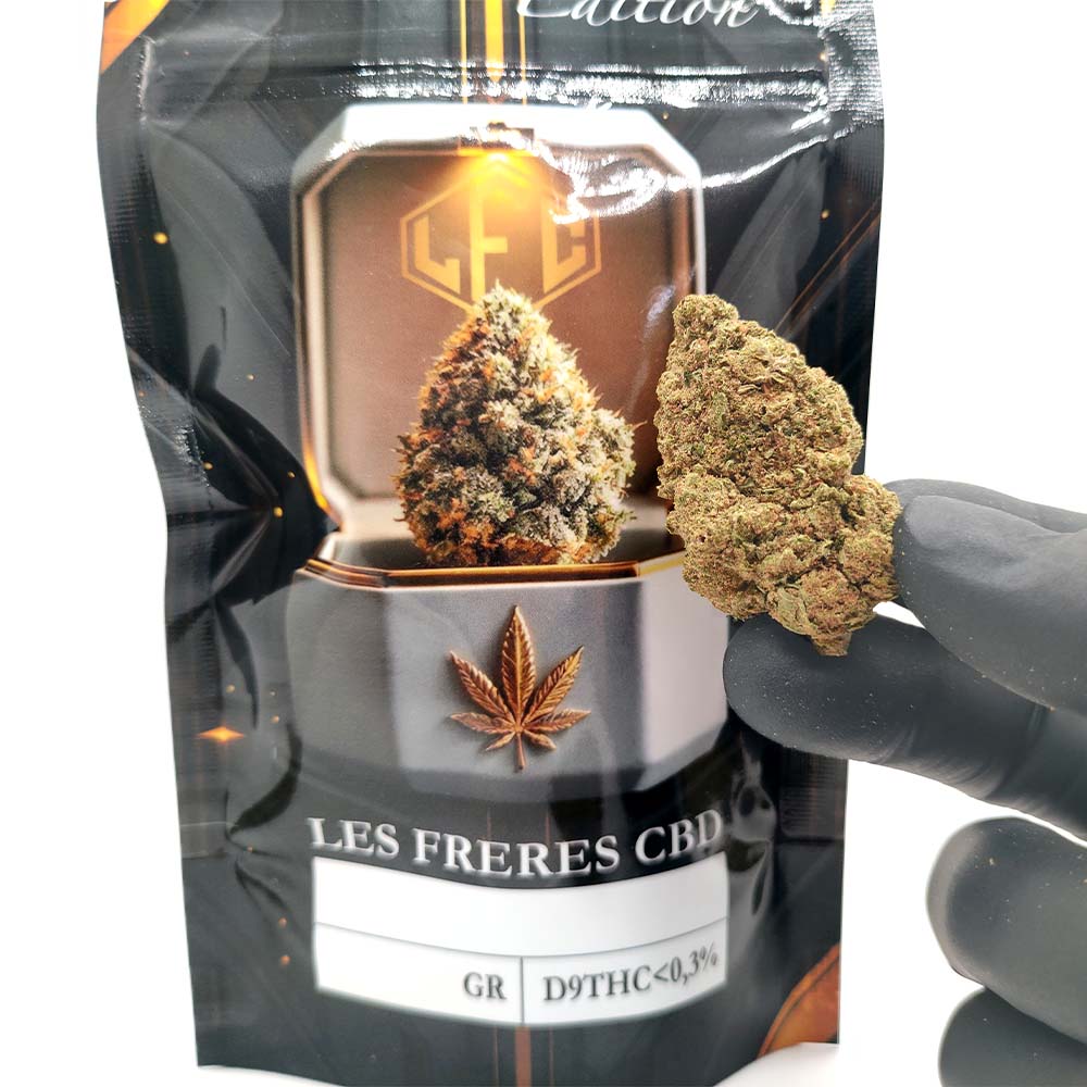 G13 Haze - Luxury Edition