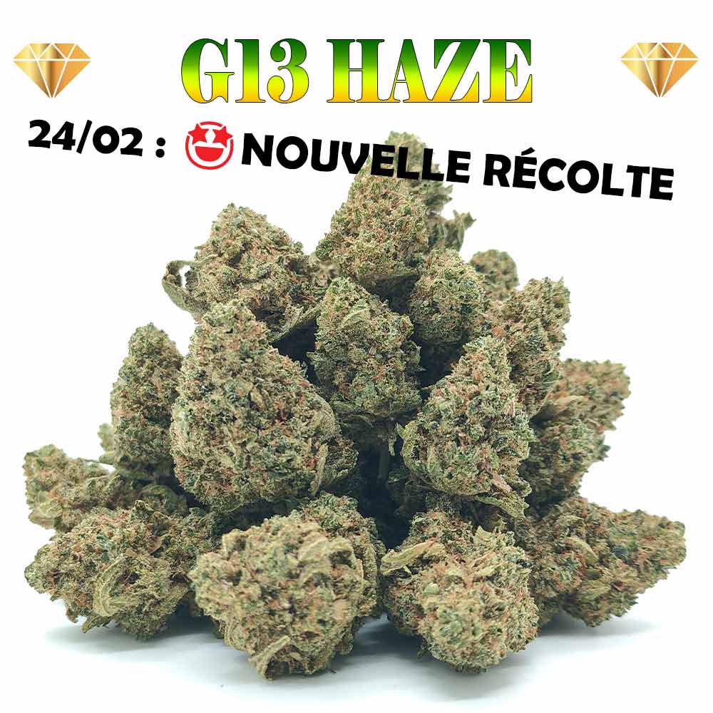 G13 Haze - Popcorn Luxury Edition