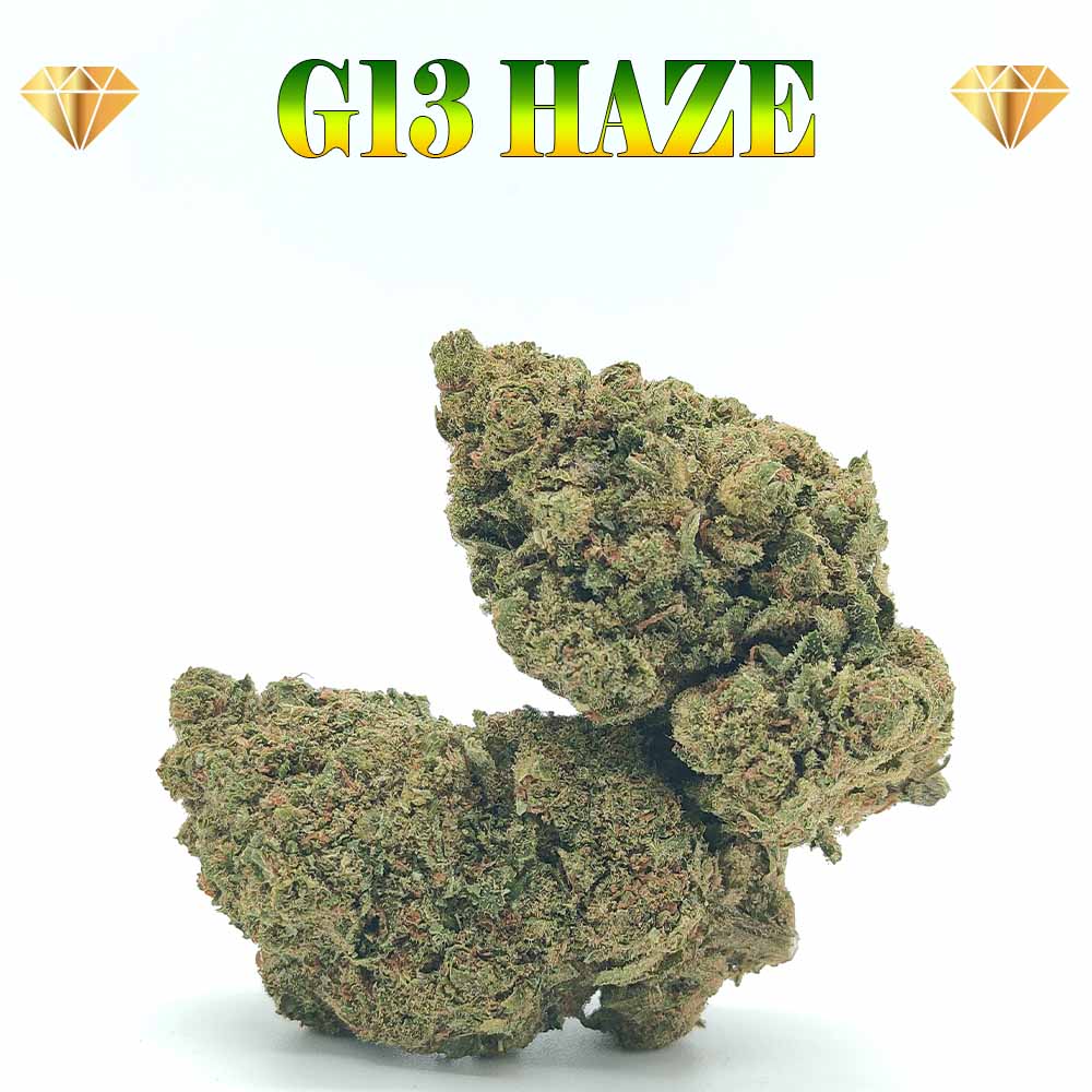 G13 Haze - Luxury Edition