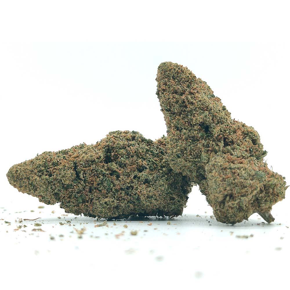 G13 Haze - Luxury Edition