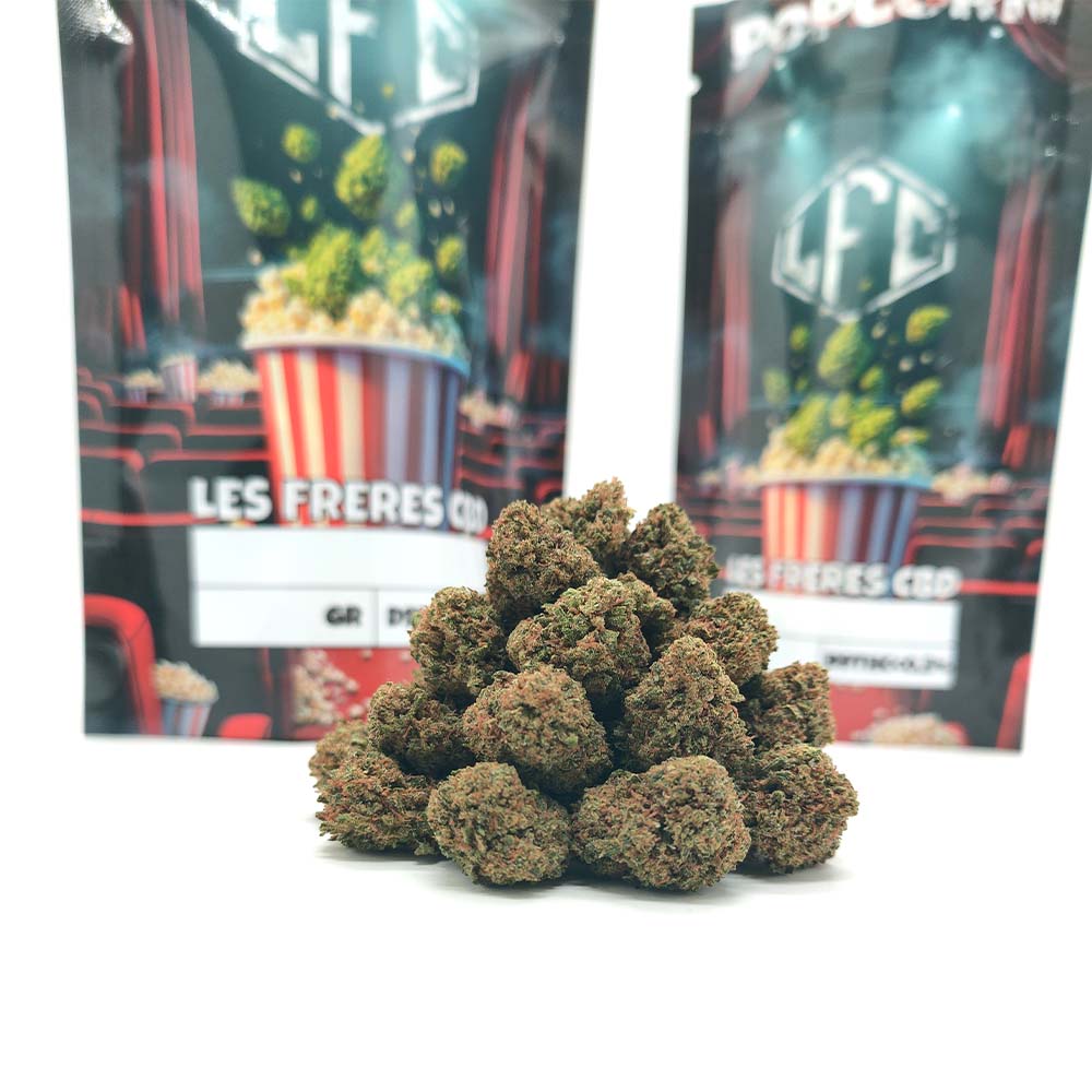 Fleurs de CBD popcorn Girl Scout Cookies France small buds devant deux sachets popcorn