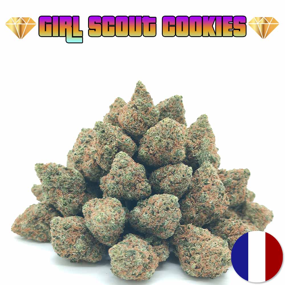 Girl Scout Cookies - Popcorn Luxury Edition