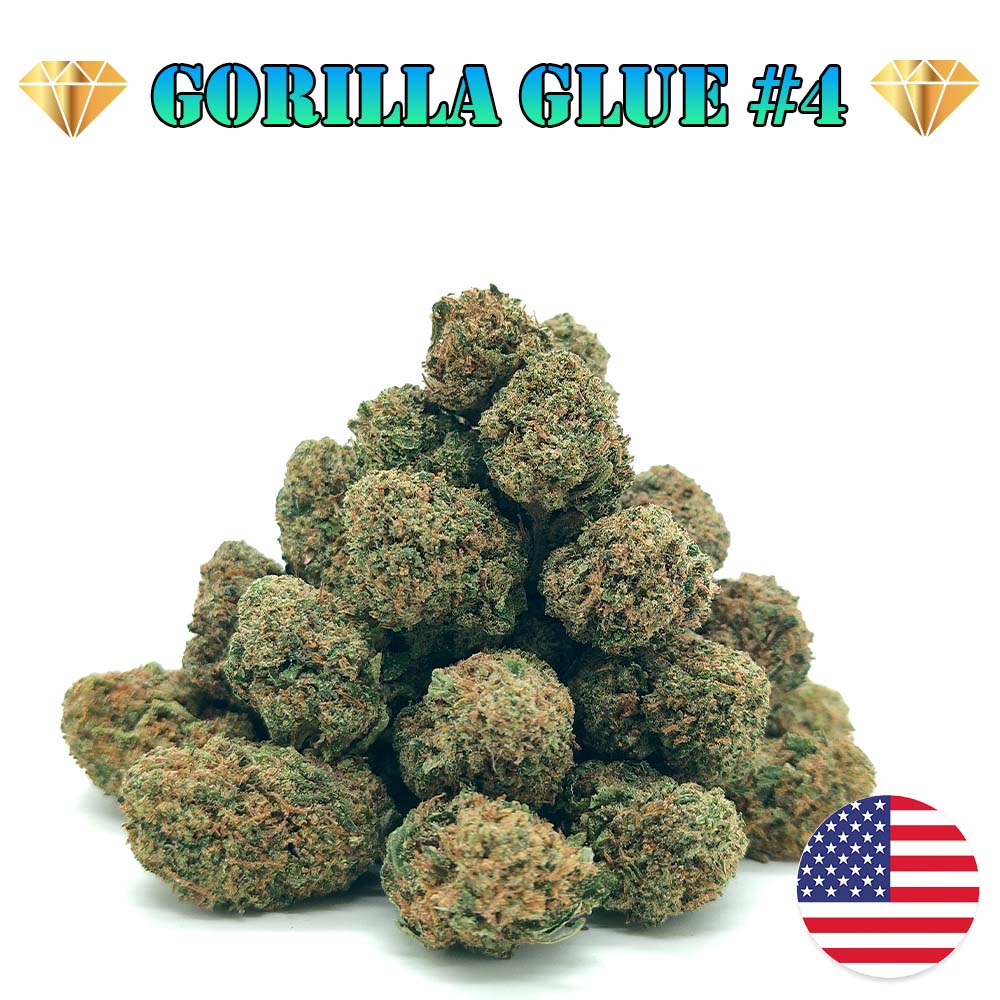 Gorilla Glue #4 - Popcorn Luxury Edition
