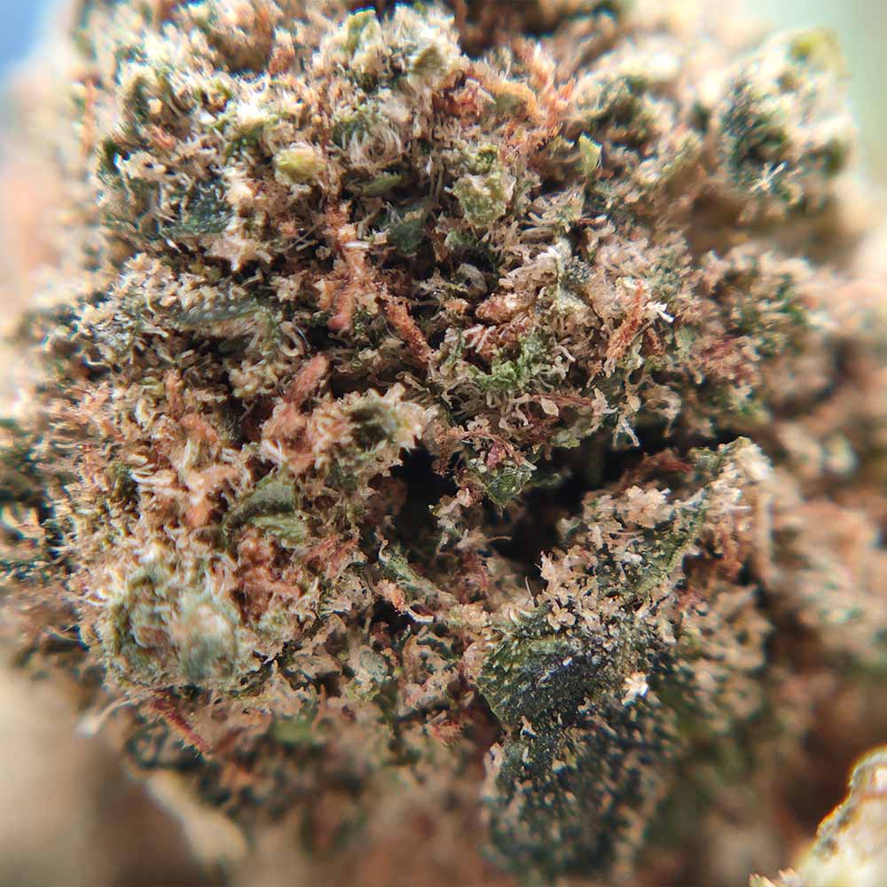 Green Crack - Popcorn Luxury Edition