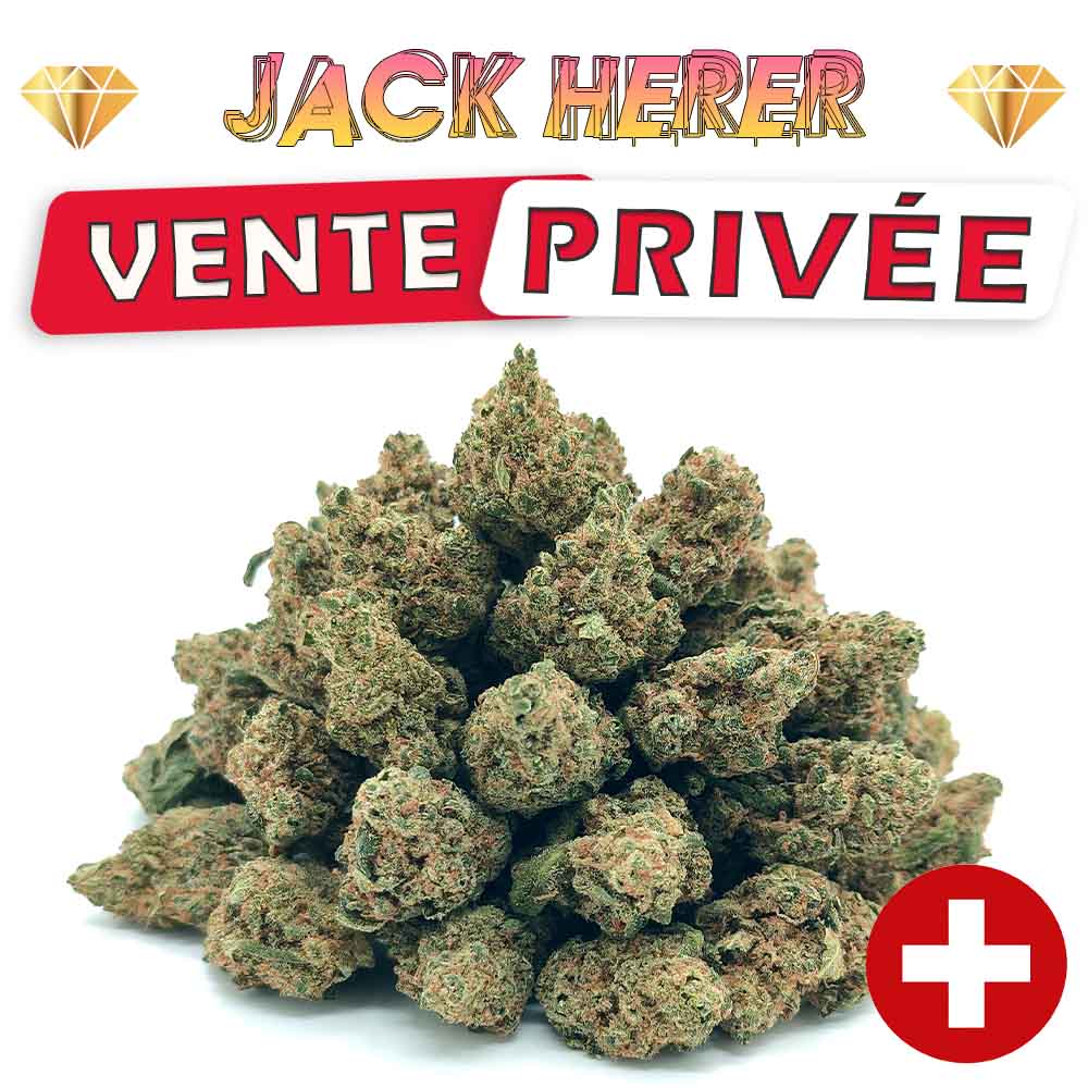 Jack Herer