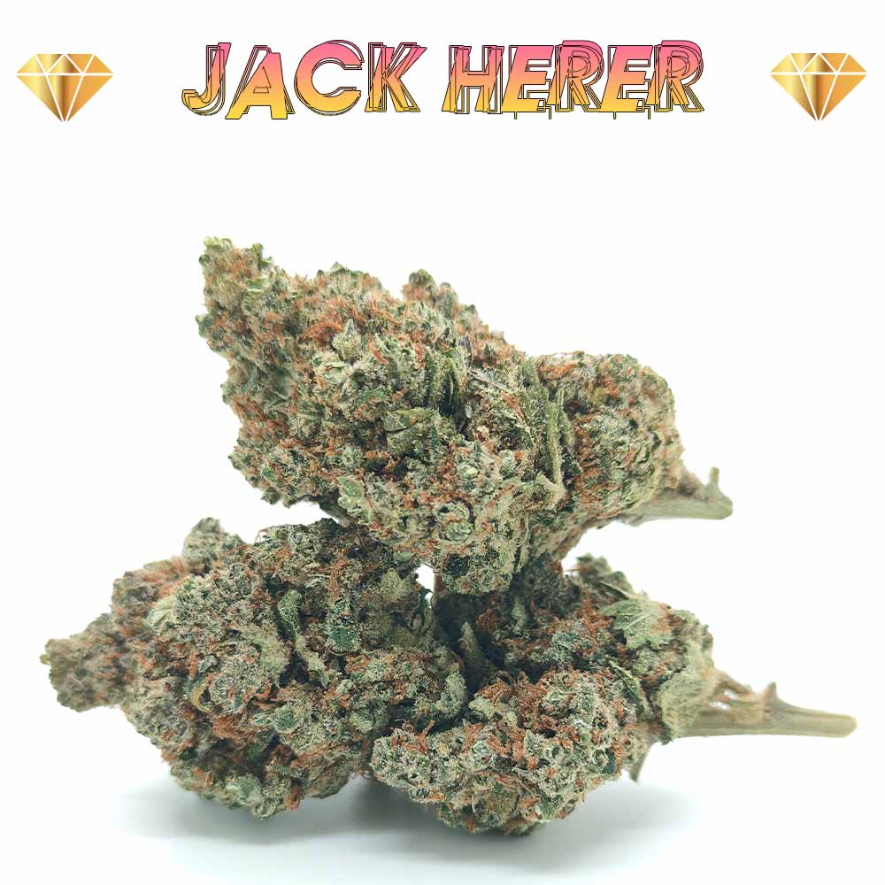 Jack Herer - Luxury Edition