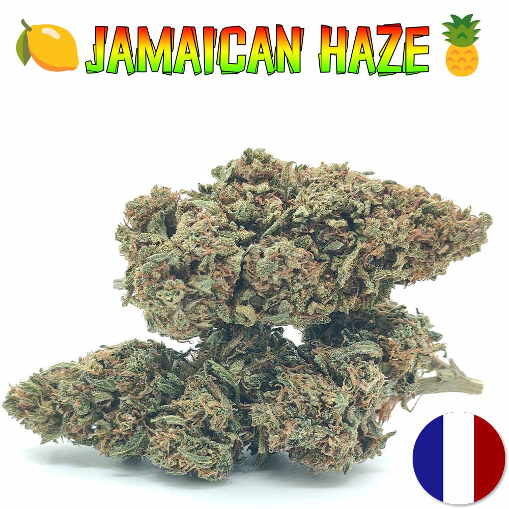 Jamaican Haze