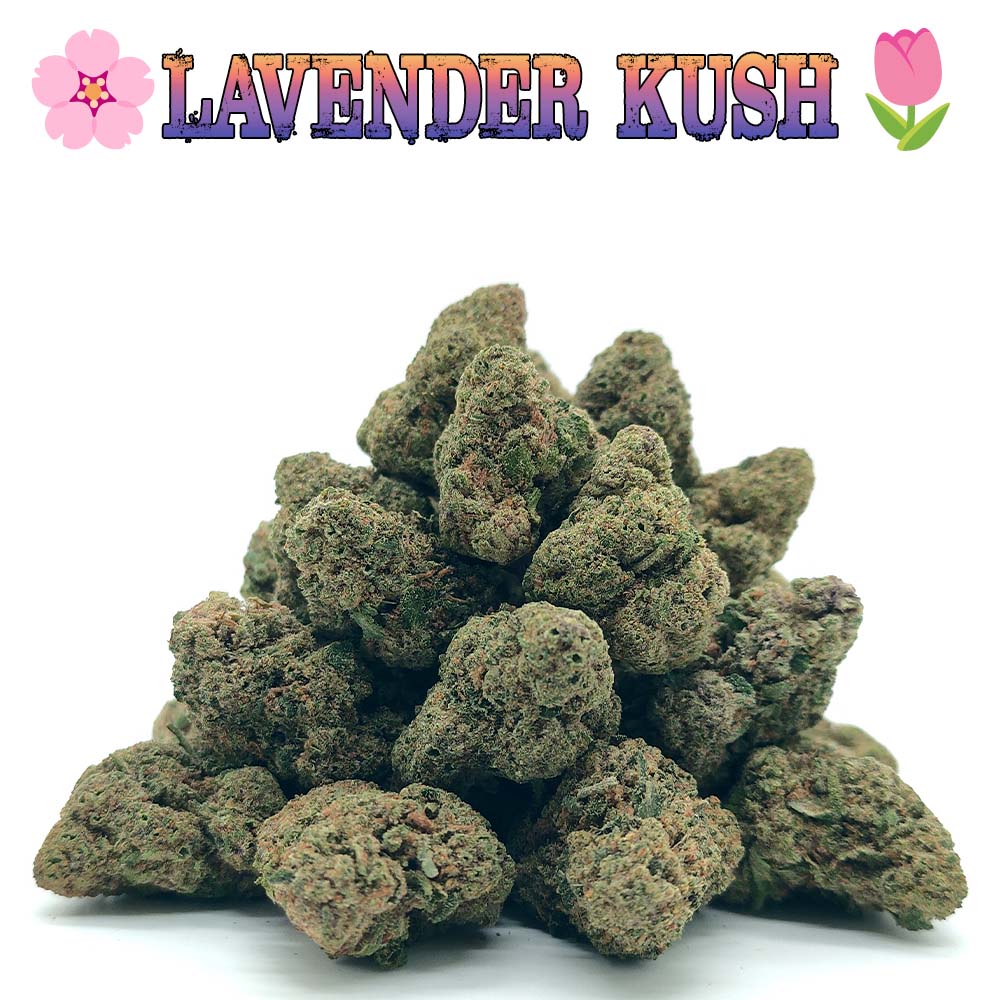 Popcorn - Lavender Kush