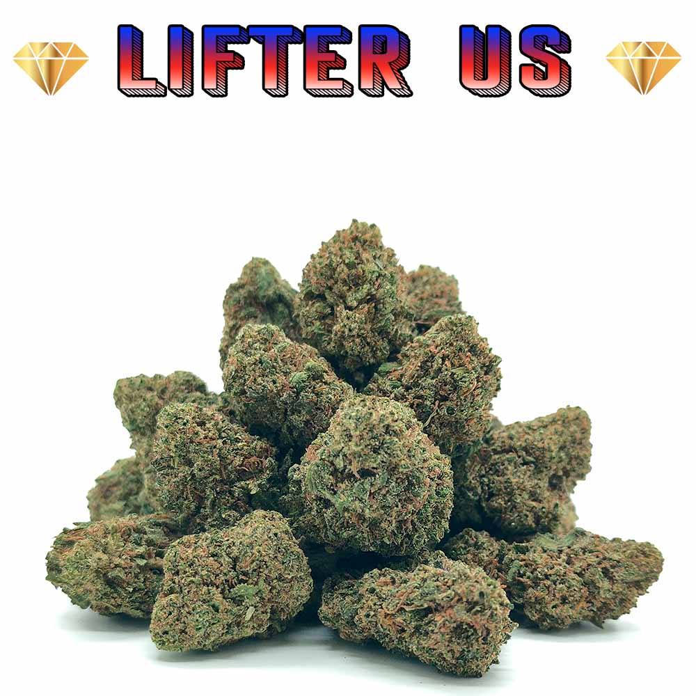 Lifter CBD USA - Popcorn Luxury Edition