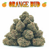 Popcorn - Orange Bud