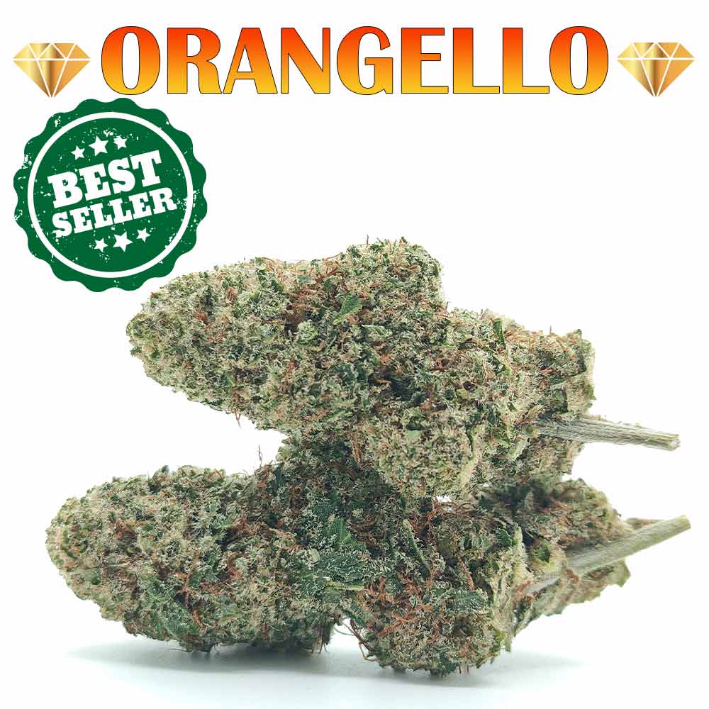 Orangello🍊🌱- Luxury Edition