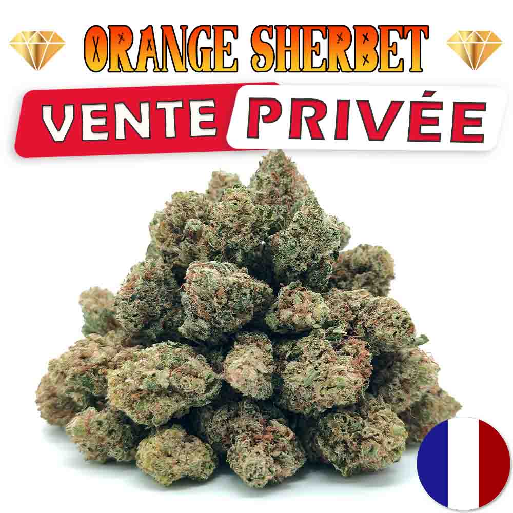 Orange Sherbet CBD - Popcorn Luxury Edition